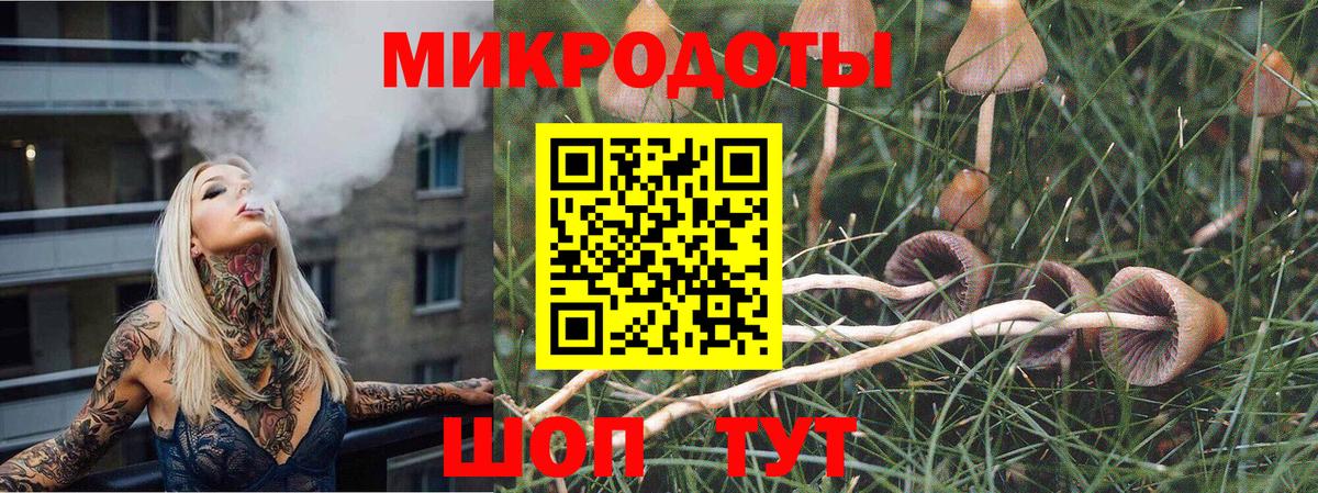 Галлюциногенные грибы прущие грибы  Вход с VPN  дарнет шоп  Большой Камень 